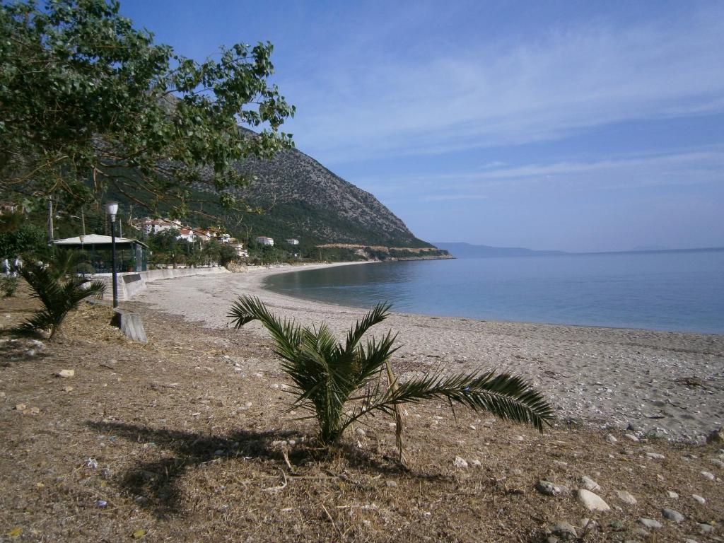 Aparthotel Petros